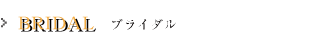 �u���C�_��