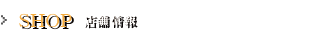 �X�܏��