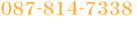 0878147338